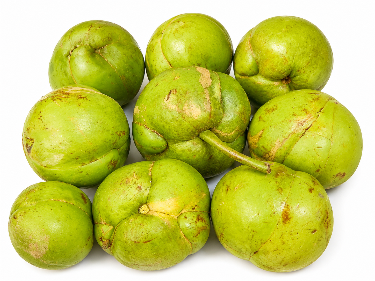 Chalta